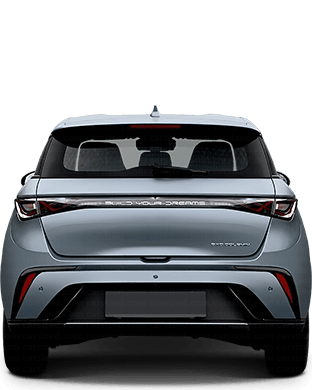 BYD Dolphin 2021-present Dimensions Rear View