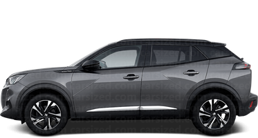 Peugeot 2008 SUV  2019 - 2022