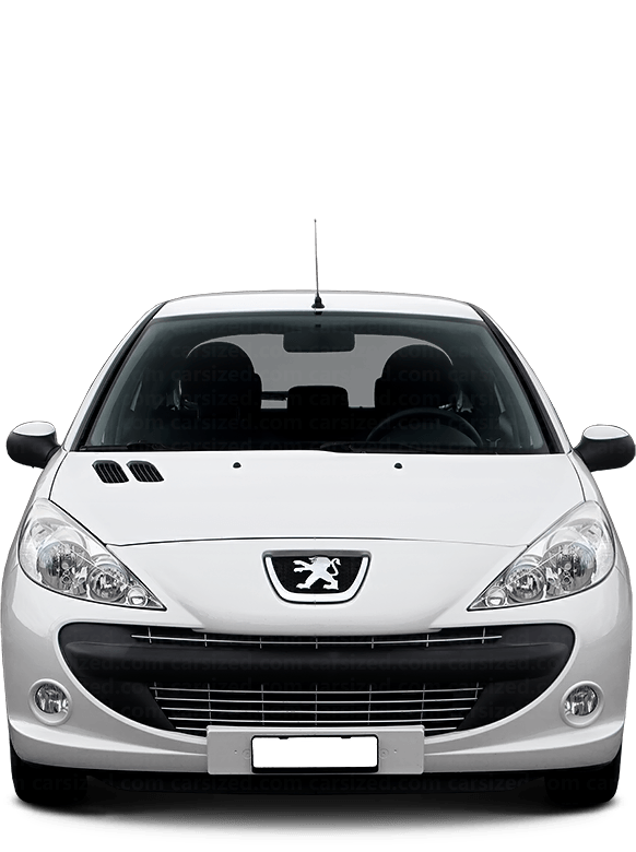 Peugeot 206 Berline 2009-2013