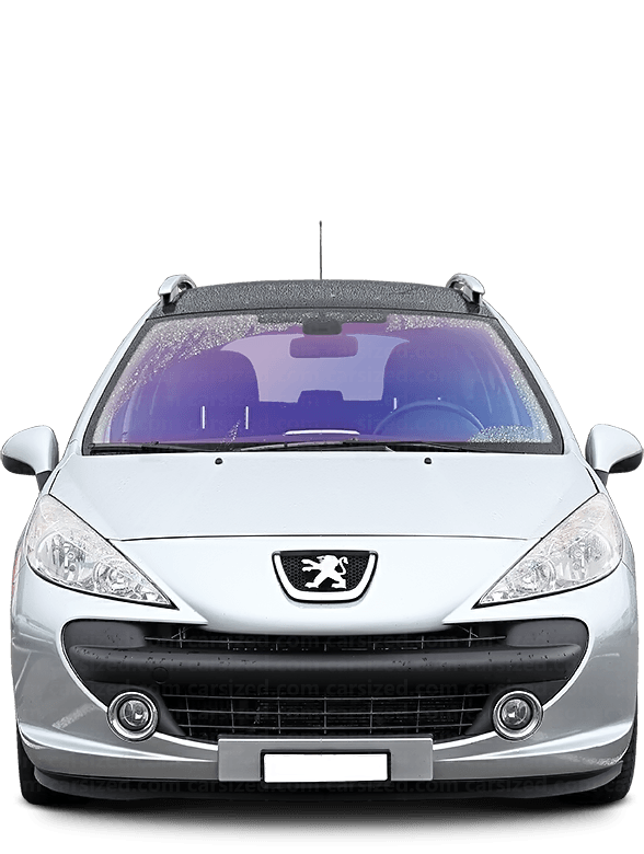 Peugeot 207 Familiare 2006-2014
