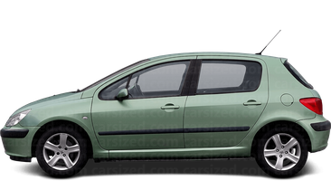 Peugeot 307 5-Türer Kombilimousine  2001 - 2005